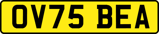 OV75BEA