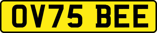 OV75BEE