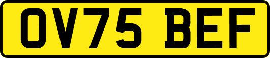 OV75BEF
