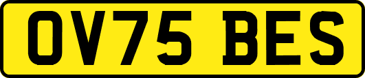 OV75BES