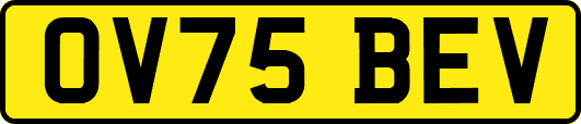 OV75BEV