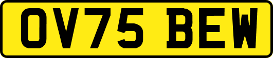 OV75BEW
