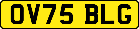 OV75BLG