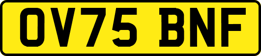 OV75BNF