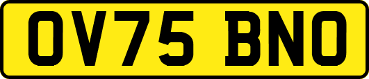 OV75BNO