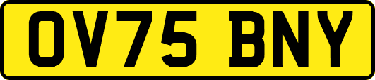 OV75BNY