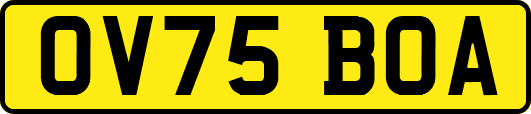 OV75BOA