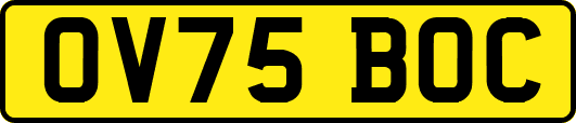 OV75BOC