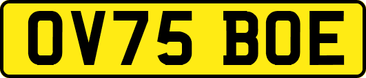 OV75BOE