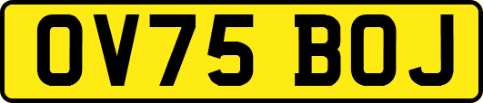 OV75BOJ