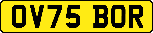 OV75BOR