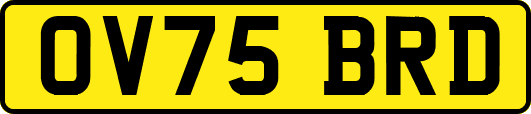 OV75BRD