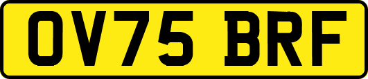 OV75BRF