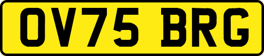 OV75BRG