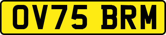 OV75BRM