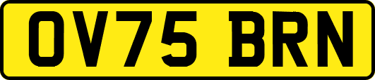 OV75BRN