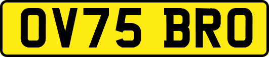 OV75BRO