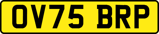 OV75BRP