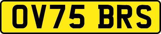 OV75BRS