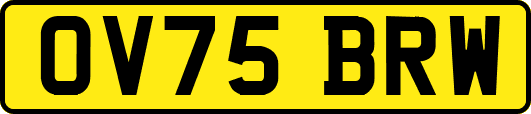 OV75BRW