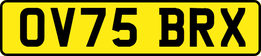 OV75BRX