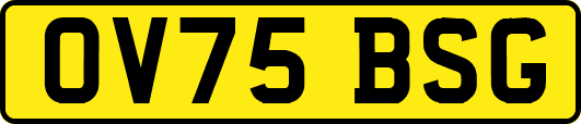 OV75BSG