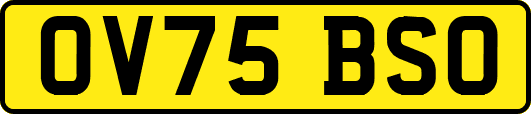 OV75BSO