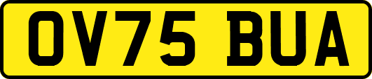 OV75BUA