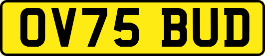 OV75BUD