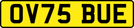 OV75BUE