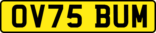 OV75BUM