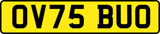 OV75BUO