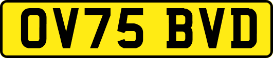 OV75BVD