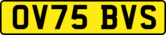 OV75BVS
