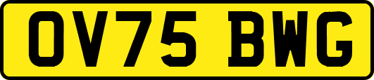 OV75BWG
