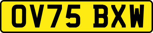 OV75BXW