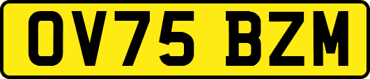 OV75BZM
