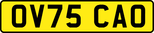 OV75CAO