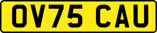 OV75CAU