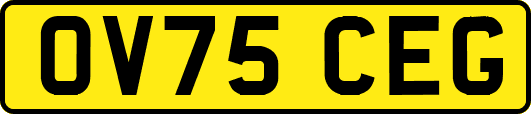 OV75CEG