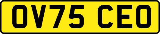 OV75CEO
