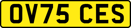 OV75CES