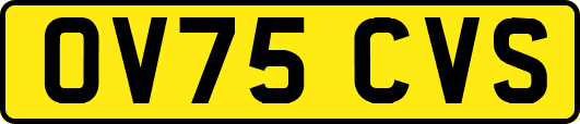OV75CVS