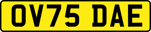 OV75DAE