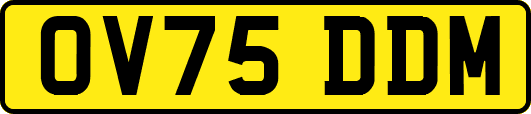 OV75DDM