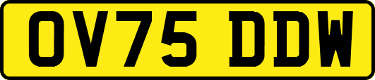 OV75DDW