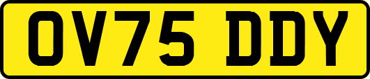 OV75DDY