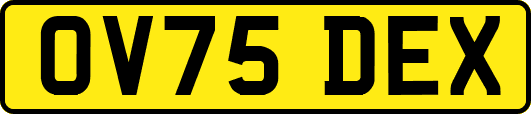 OV75DEX