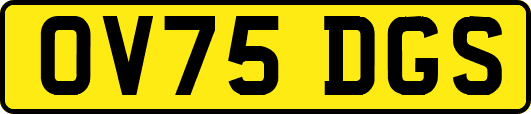 OV75DGS