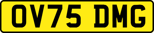 OV75DMG